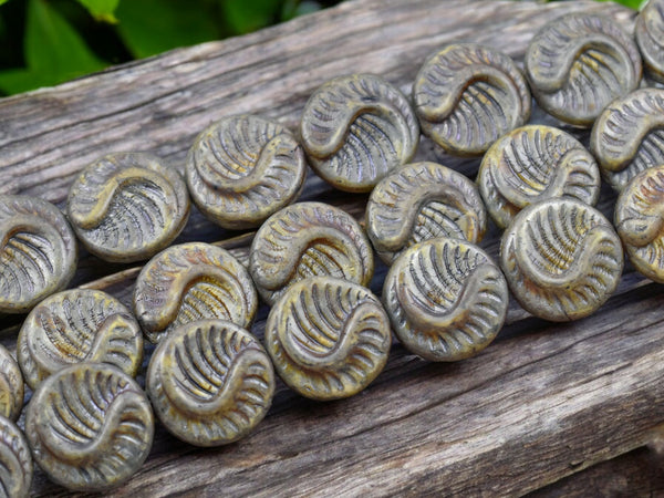 *6* 19mm Alabaster Purple Sage Fossil Coin Beads