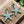 *10* 21x19mm Copper Patina Starfish Charms