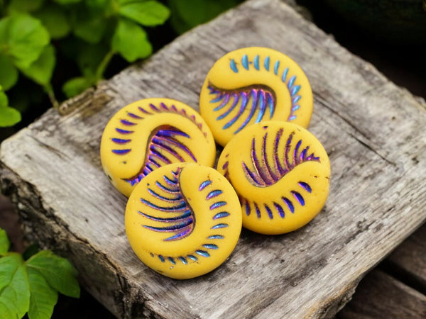 *6* 19mm Sliperit Washed Matte Mango Fossil Coin Beads