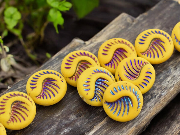 *6* 19mm Sliperit Washed Matte Mango Fossil Coin Beads