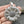 70x57mm Antique Silver Sunflower Pendant