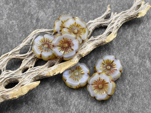 Picasso Beads - Czech Glass Beads - Hawaiian Flower Beads - Czech Glass Flowers - 12mm - 12pcs - (3559)