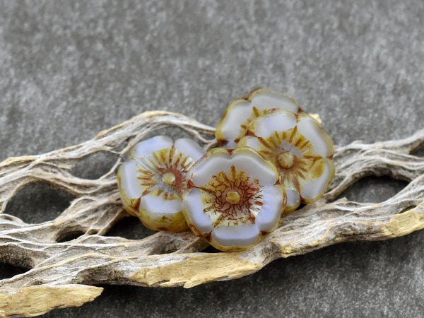 Picasso Beads - Czech Glass Beads - Hawaiian Flower Beads - Czech Glass Flowers - 12mm - 12pcs - (3559)