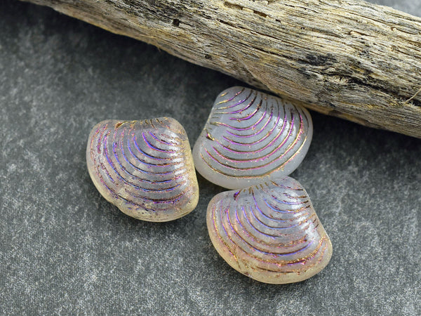 Czech Glass Beads - Sea Shell Beads - Scallop Shell Beads - 15x18mm - 8pcs - (B460)