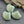 Picasso Beads - Czech Glass Beads - Sea Shell Beads - Scallop Shell Beads - 15x18mm - 8pcs - (1942)