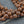 Wood Beads - Dragon Tree Beads - Jewelry Making Beads - Mala Beads - 16 inch strand - 6mm 8mm or 10mm