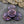 Floral Bead - Czech Glass Beads - Flower Beads - Rose Beads - Flower Coin Bead - 17mm - 6pcs - (4748)