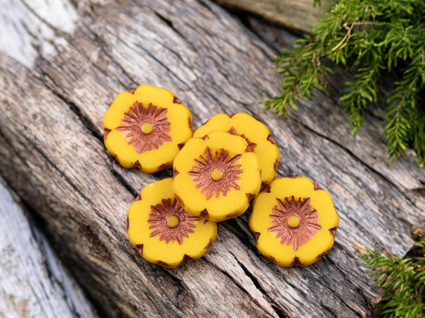 *12* 12mm Copper Washed Opaque Marigold Hawaiian Flower Beads