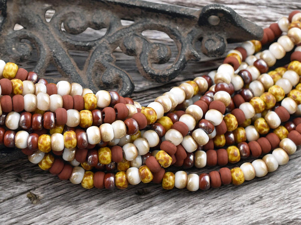 2/0 Aged Cocoa Power Picasso Mix Seed Beads (21" Strand)