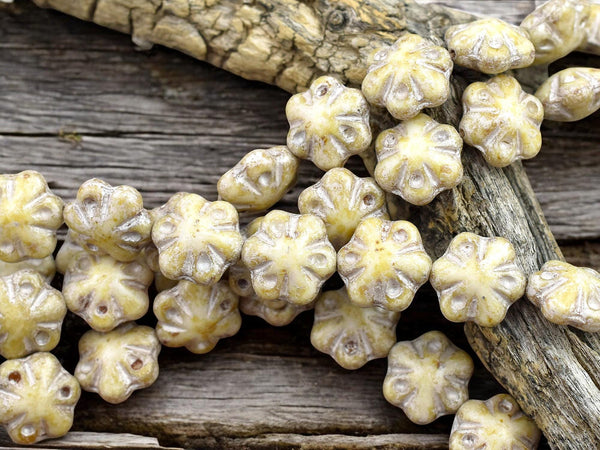 *10* 11mm Platinum Washed Opaque Alabaster Champagne Picasso Scalloped Flower Beads