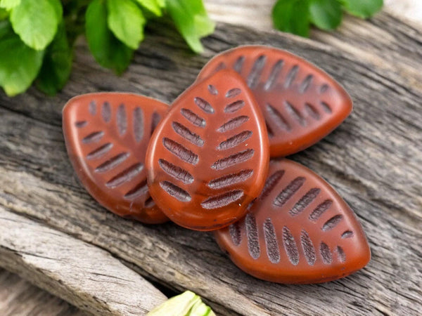 *15* 16x12mm Brown Washed Burnt Orange Top Drilled Dogwood Leaf Beads