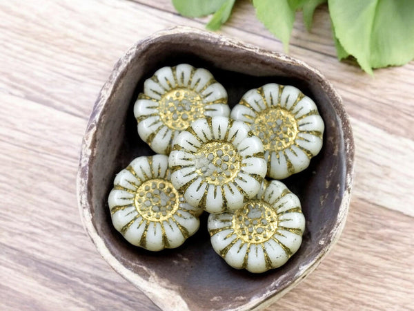 *12* 13mm Gold Washed Opaque Ivory Sunflower Coin Beads