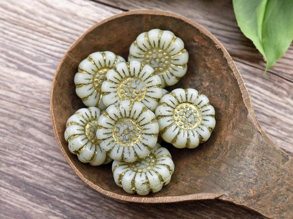 *12* 13mm Gold Washed Opaque Ivory Sunflower Coin Beads