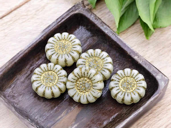 *12* 13mm Gold Washed Opaque Ivory Sunflower Coin Beads