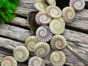 Czech Glass Beads - Laser Etched Beads - Spiral Beads - Nautilus Beads - 17mm - 8pcs - (2050)