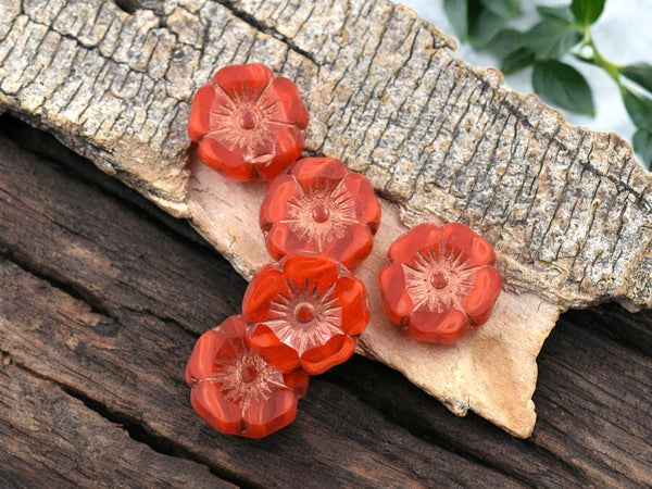 *12* 12mm Copper Washed Varigated Orange Opaline Hawaiian Flower Beads