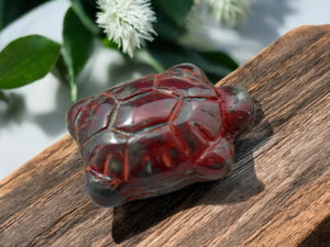 *4* 19x14mm Opaque Red Travertine Turtle Beads