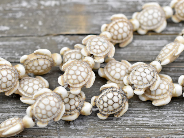 18x14x8mm Bone Beige Synthetic Turquoise Turtle Beads - 15 Strand